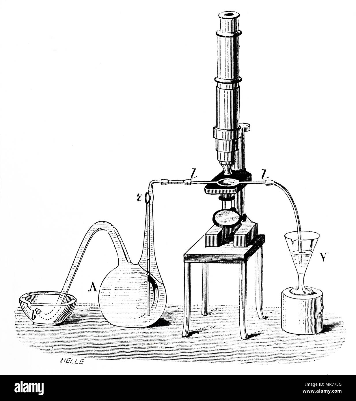 Engraving depicting Louis Pasteur's method of observing sealed culture samples. Louis Pasteur (1822-1895) a French biologist, microbiologist and chemist. Dated 19th century Stock Photo