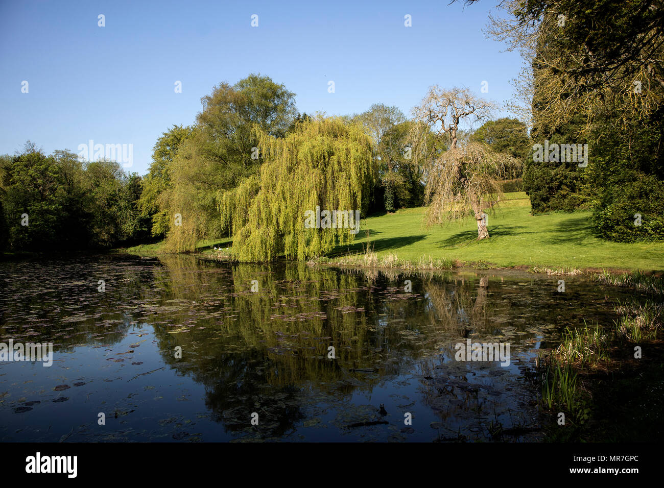 University lake hires stock photography and images Alamy