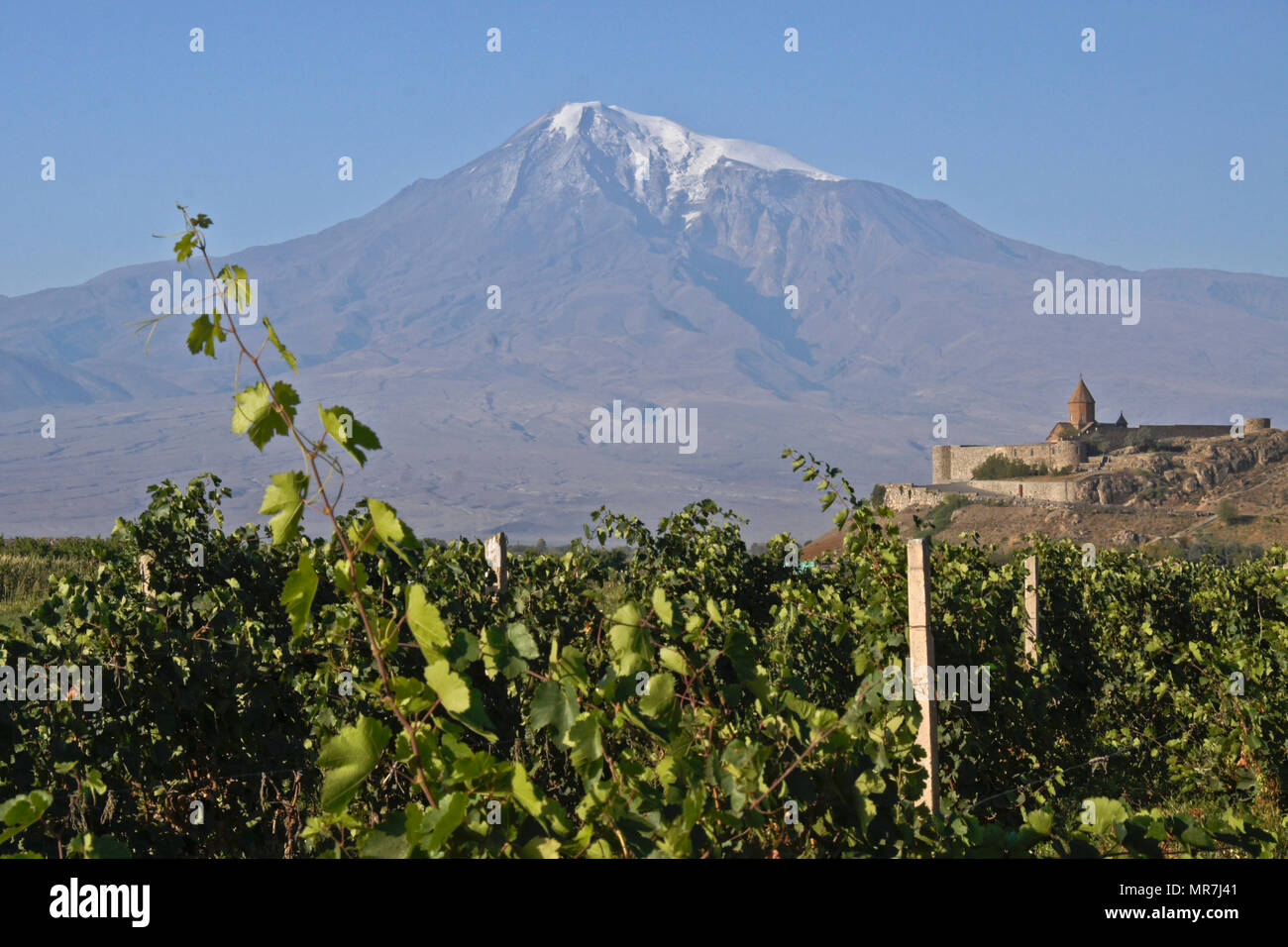 Khor Virap Monastery with Mount Ararat and vineyards, Armenia Stock Photo