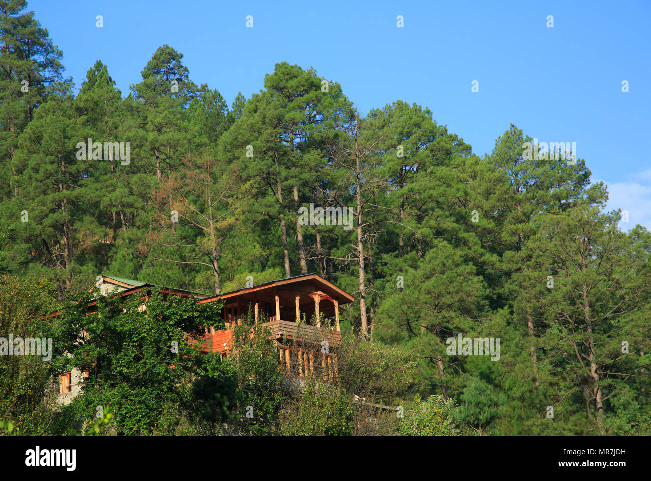 Raju's Cottage - a beautiful homestay in Tirthan Valley (Himachal Pradesh, India) Stock Photo
