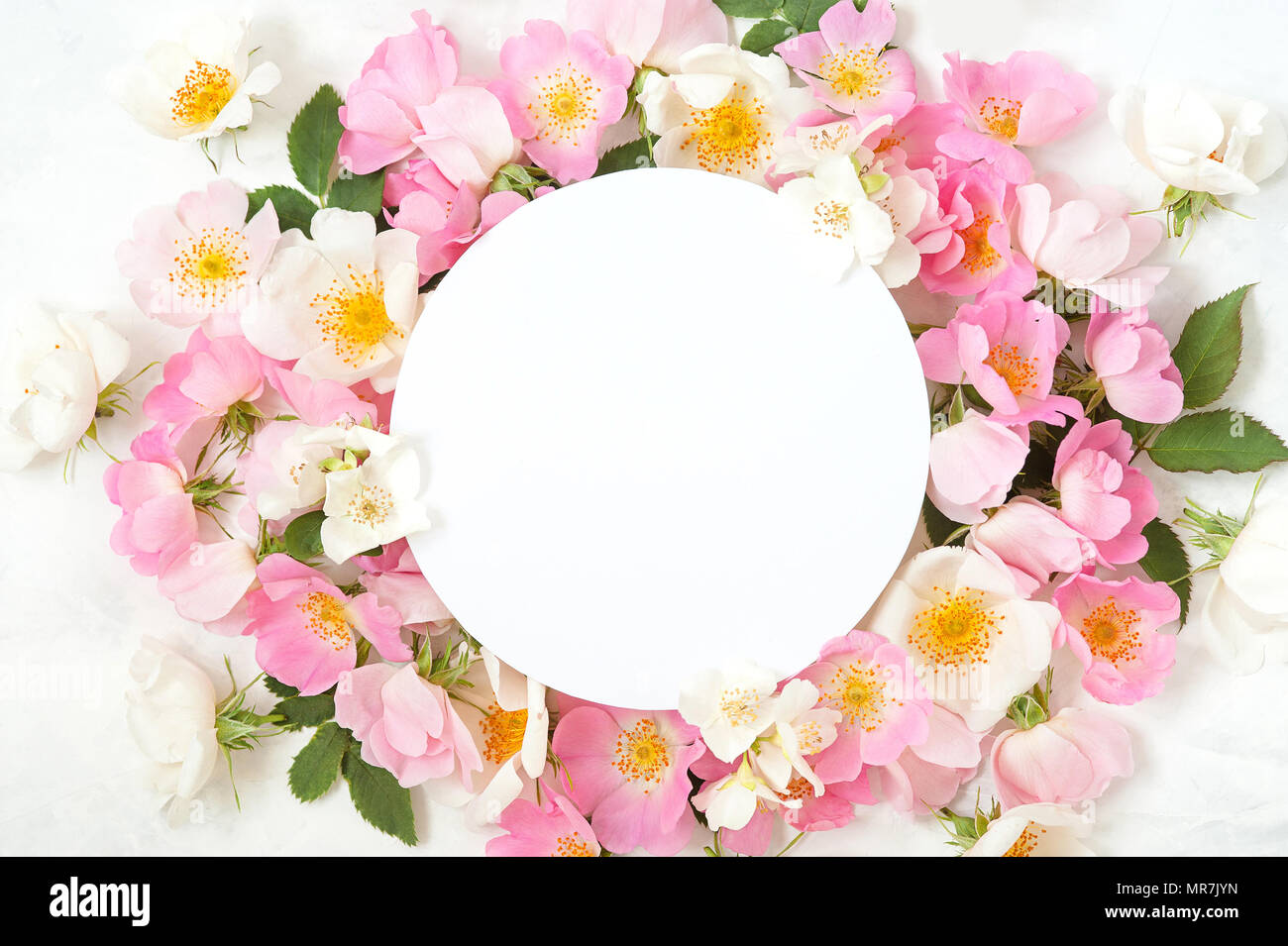 Festive Invitation Card With Beautiful Floral Border On The White Textured Background Stock Photo Alamy