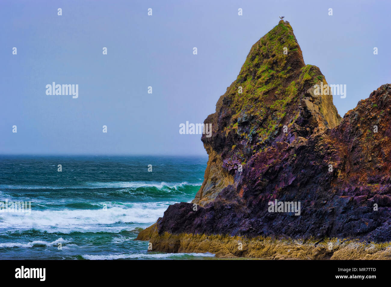 On a wet and rainy day on the Oregon Coast intertidal rocks slowly ...