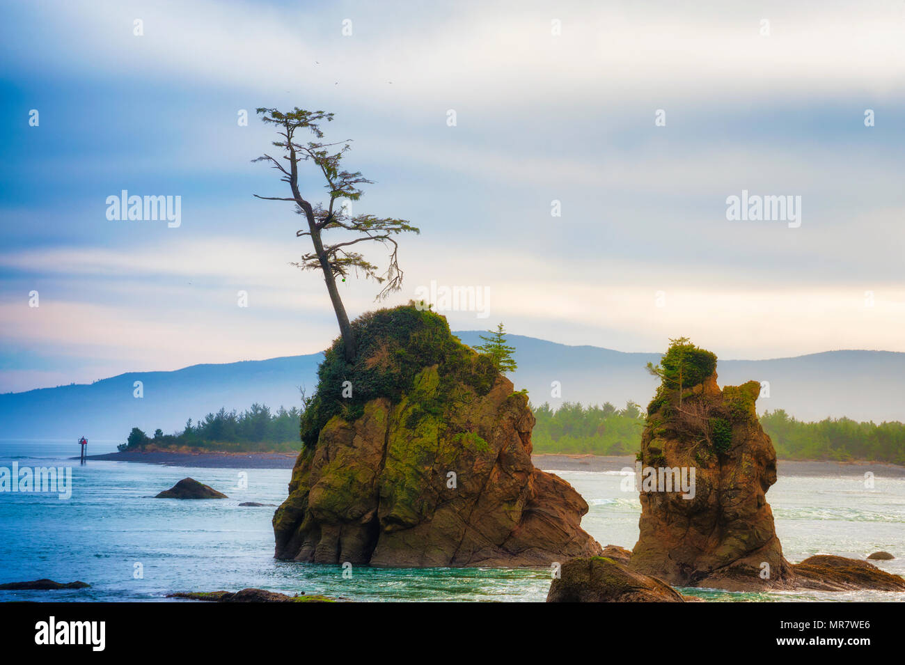 Intertidal rocks in Tillamook Bay near Wheeler, Oregon on the Oregon ...
