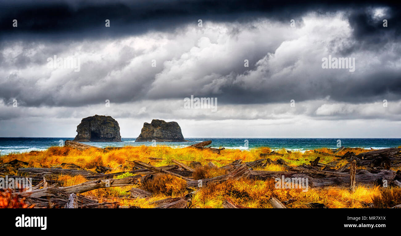 Storm clouds darken skies above large rocks surrounded by the sea seen from a driftwood strewn beach from previous storms along Rockaway Beach, Oregon Stock Photo