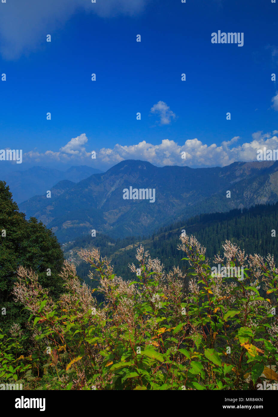 View of the Mountains - photographed from Jalori Pass (Himachal Pradesh, India) Stock Photo