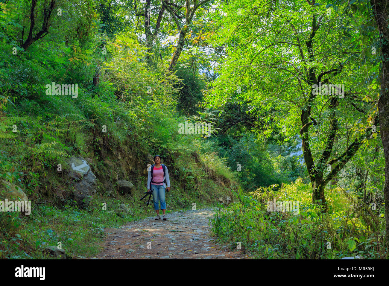 On the way to Great Himalayan National Park Stock Photo