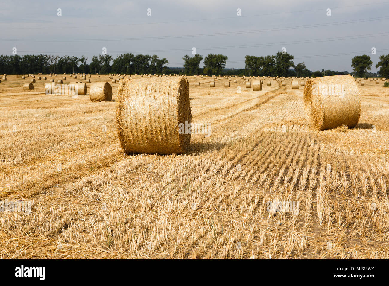 Harvested field with straw bales in summer Stock Photo - Alamy