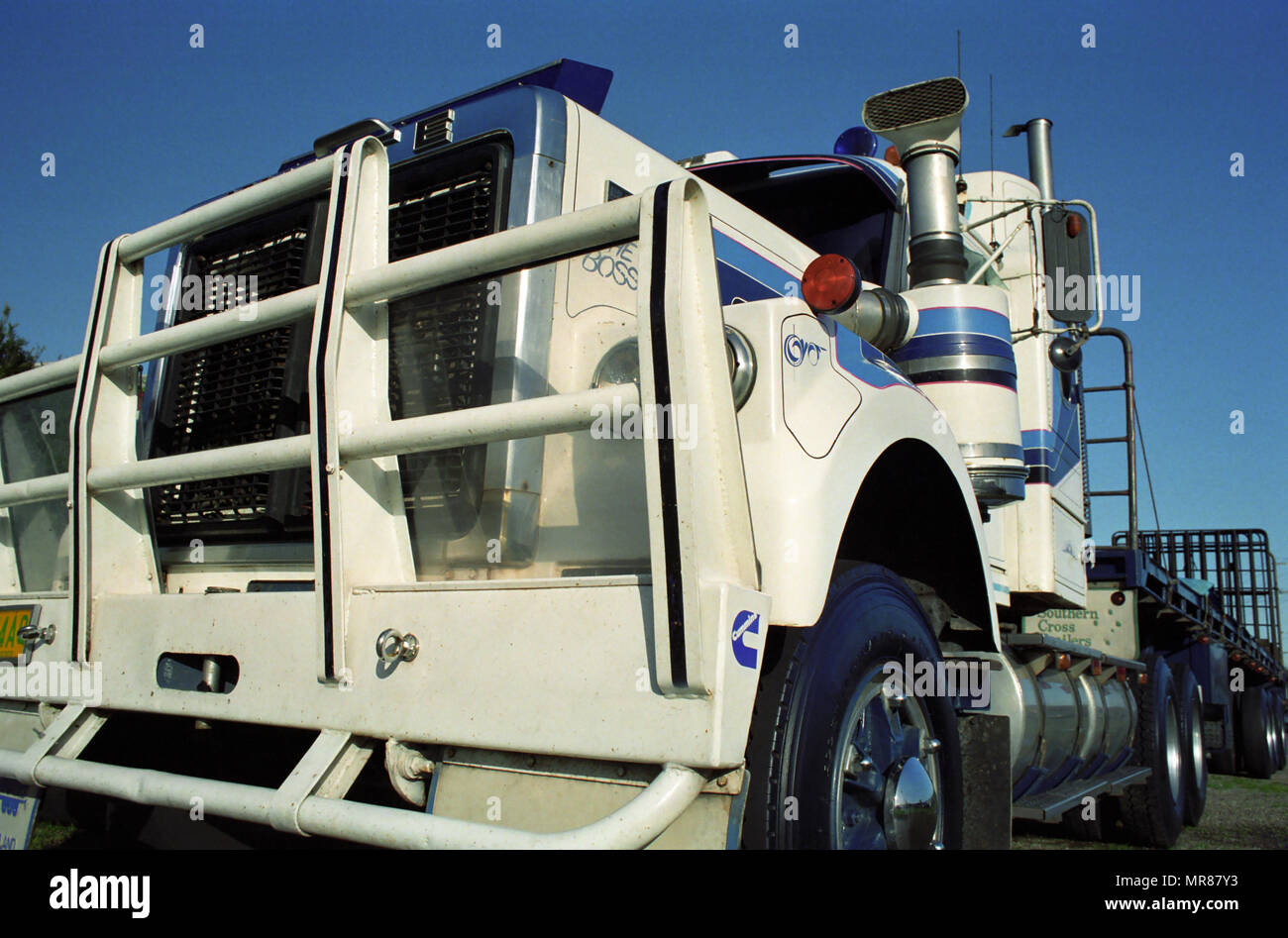 Bull In Lorry Stock Photos Bull In Lorry Stock Images Alamy