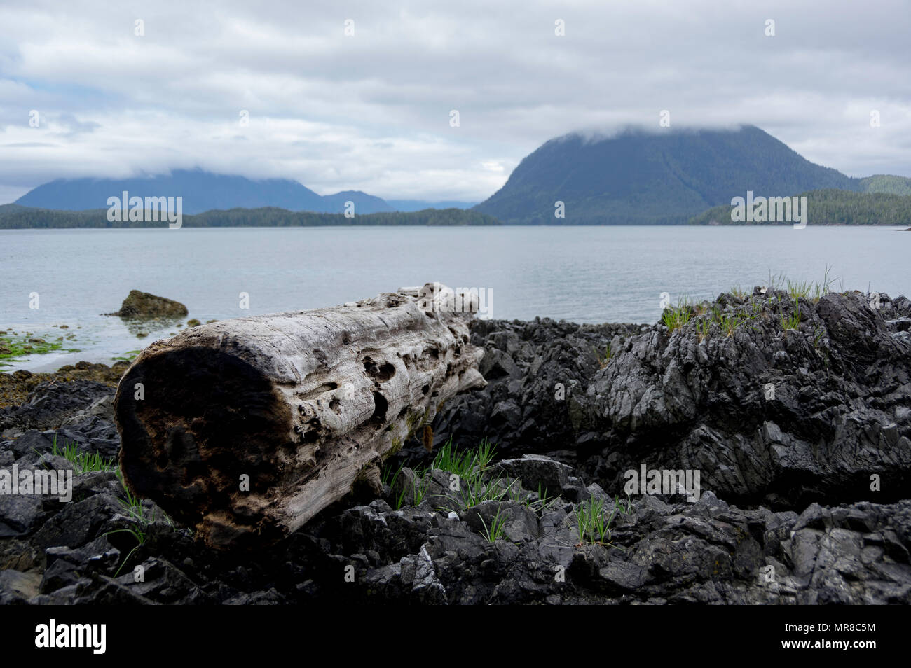 Clayoquot Island Preserve near Tofino, B.C. Canada Stock Photo