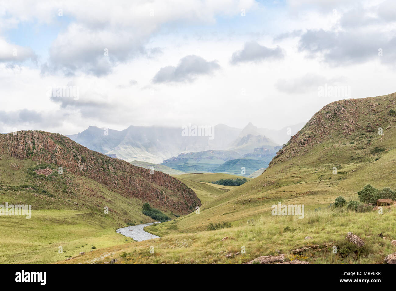 The landscape on roadP317 to Garden Castle in the Drakensberg near