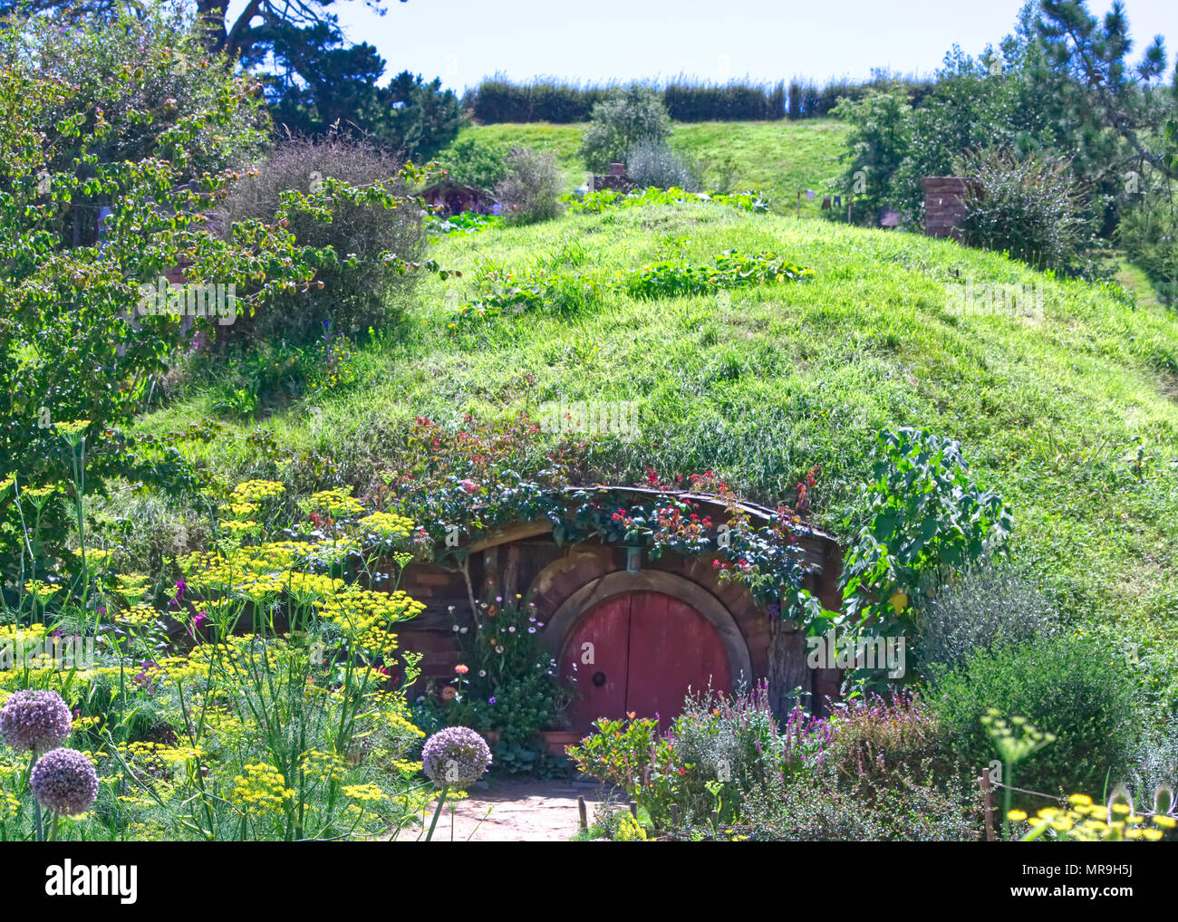 Hobbit hole in Hobbiton, Nz Stock Photo