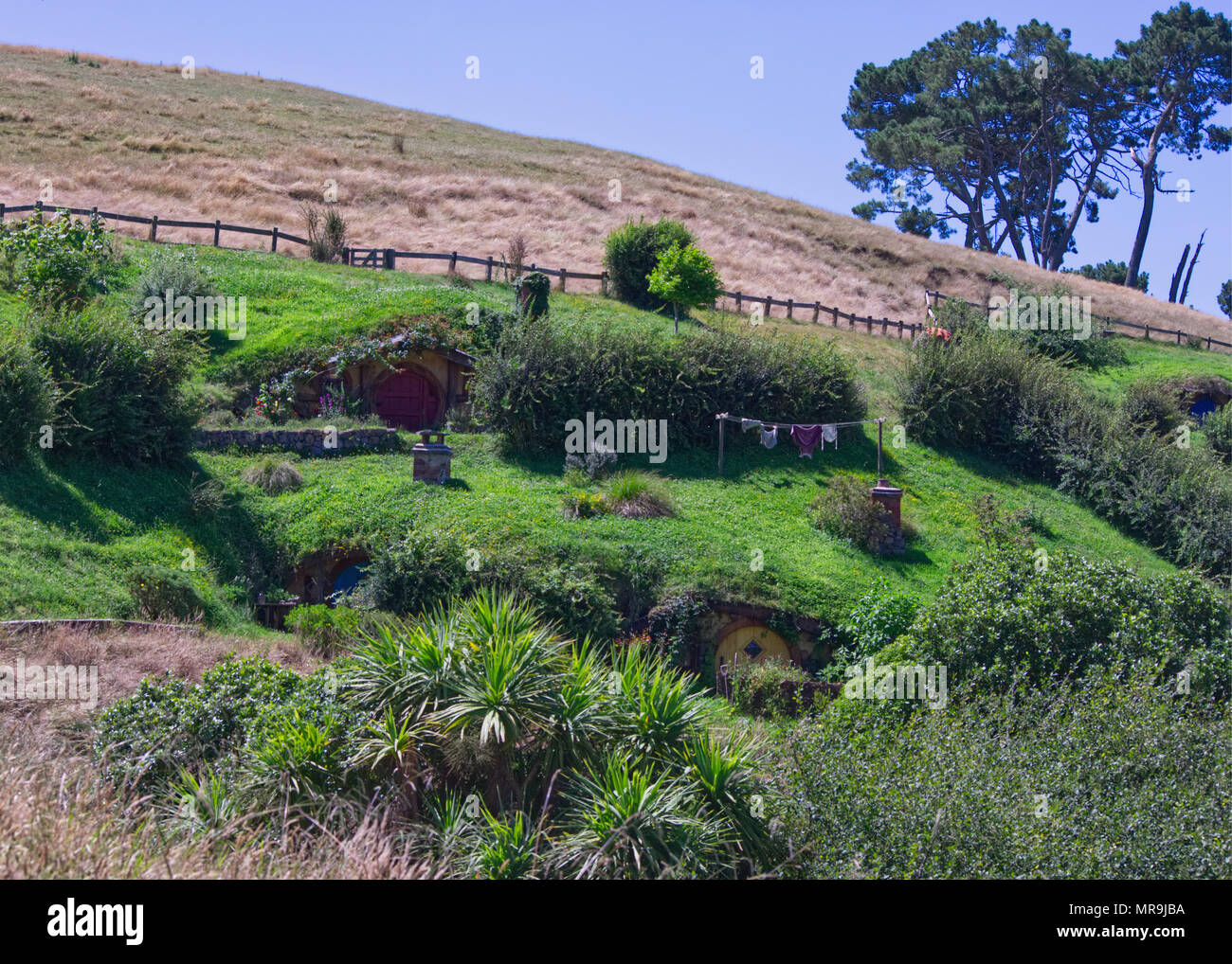 hill with hobbit holes in Hobbiton, Nz Stock Photo