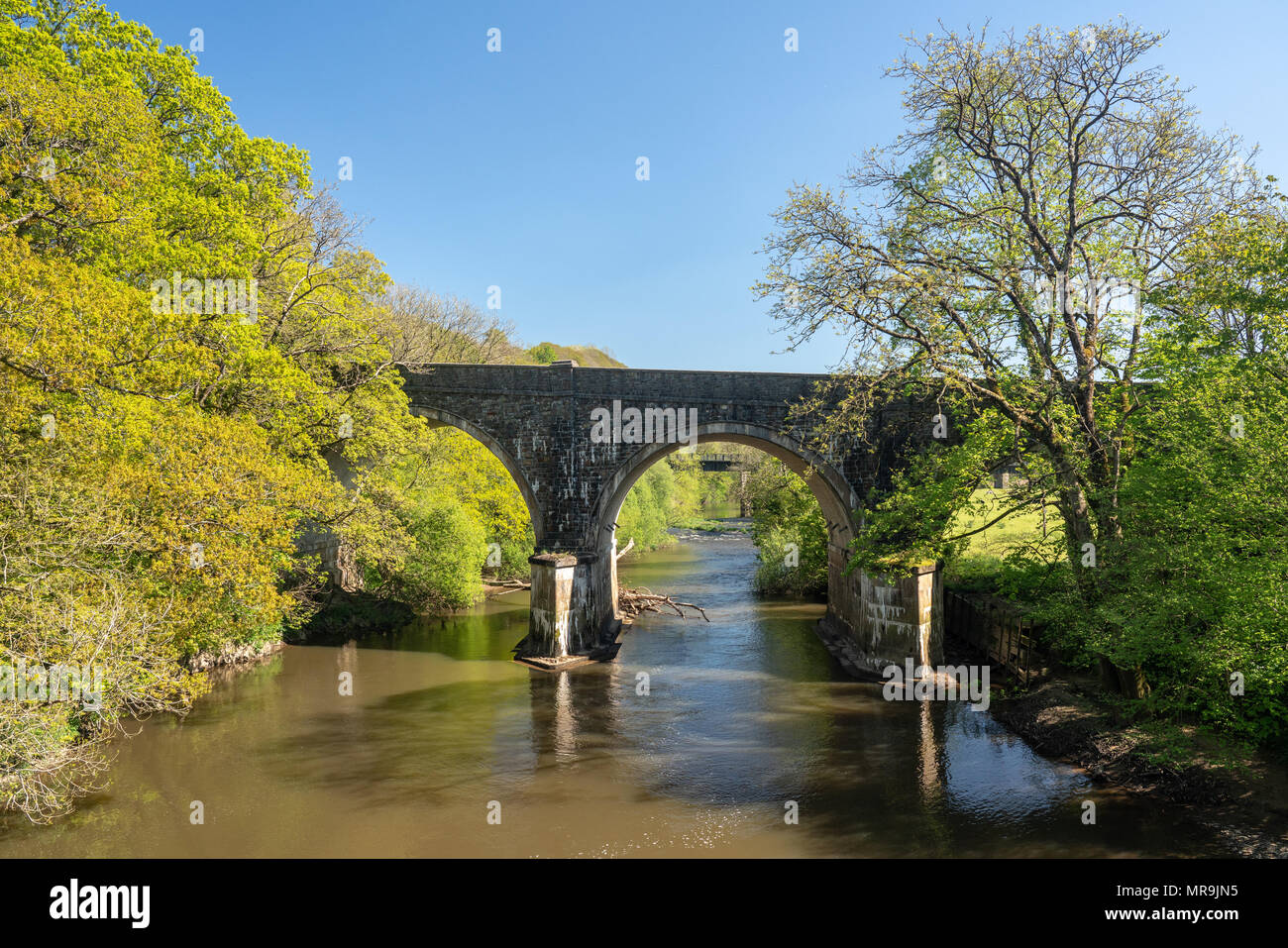 Road bridge over River Torridge near Torrington in Devon Stock Photo