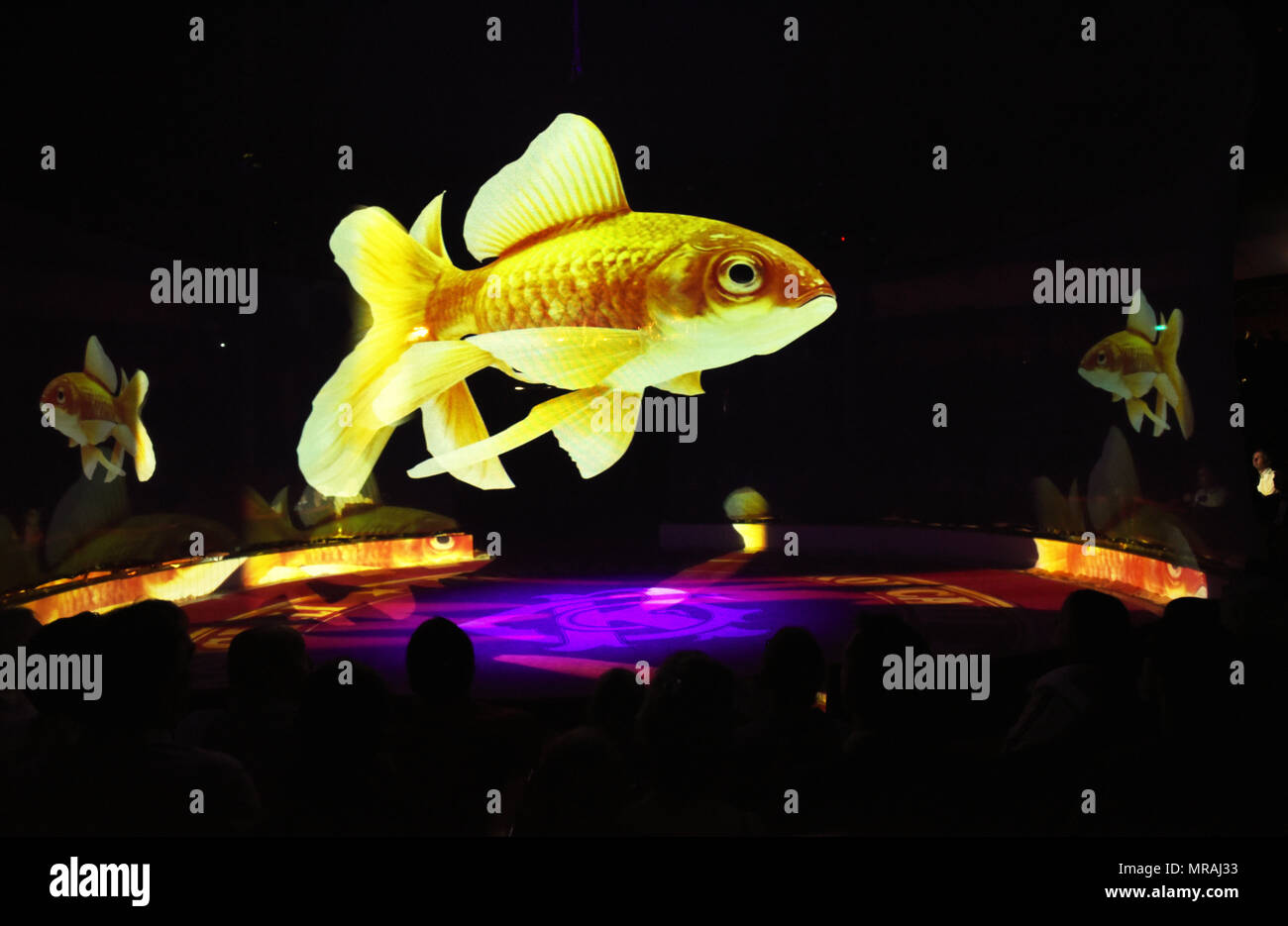 25 May 2018, Germany, Duesseldorf: Fish holograms floating through the ring at the evening of the premiere of the "Circus Roncalli" at the Rheinpark with the programme "Storyteller: Yesterday-Today-Tomorrow". Clowns, magicians and performers will be able to enthrall circus lovers from 25 May until 24 July 2018. However, animals such as horses, elephants and fish will only participate as holograms. Photo: Horst Ossinger//dpa Stock Photo