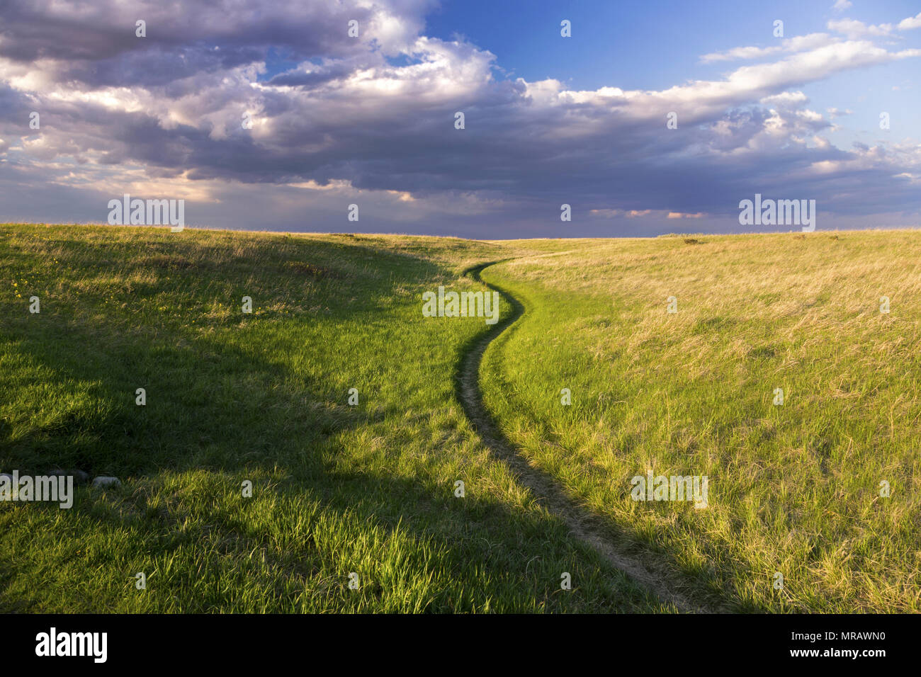 Springtime Prairie Grassland and Stormy Sky Horizon on Nose Hill Natural Park in City of Calgary Alberta at Foothills of Canadian Rocky Mountains Stock Photo