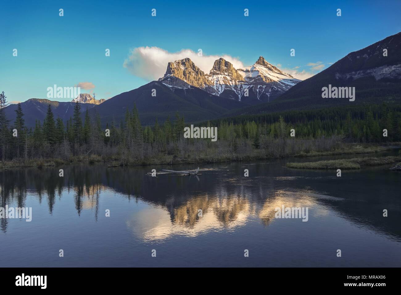 Three Sisters Mountain Peaks Reflected in Treelined Calm Lake Water. Scenic Evening Landscape Bow Valley Canmore Alberta Foothills Canadian Rockies Stock Photo