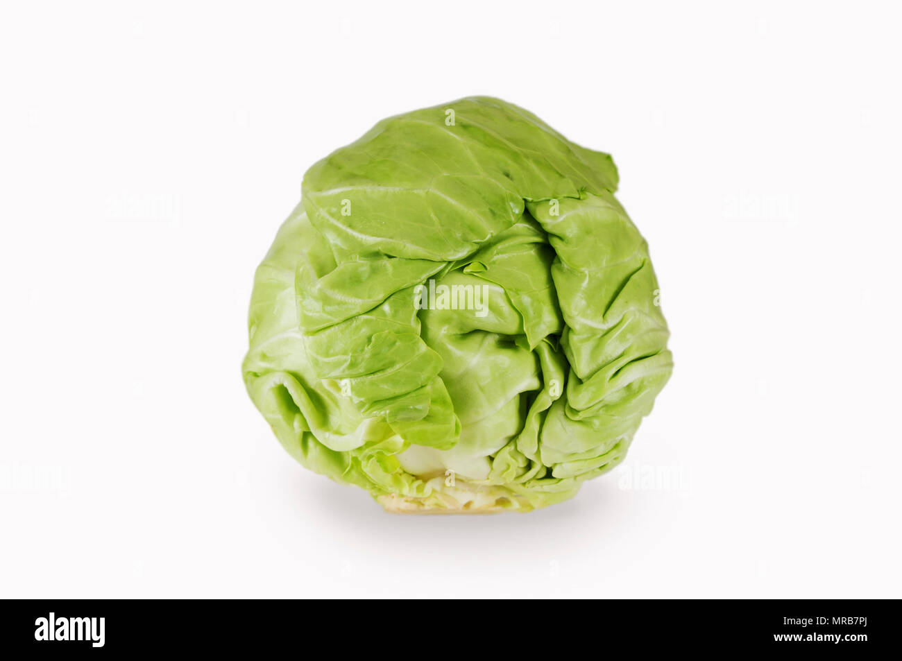 Green cabbage isolated on white background. Healthy food. Rich in