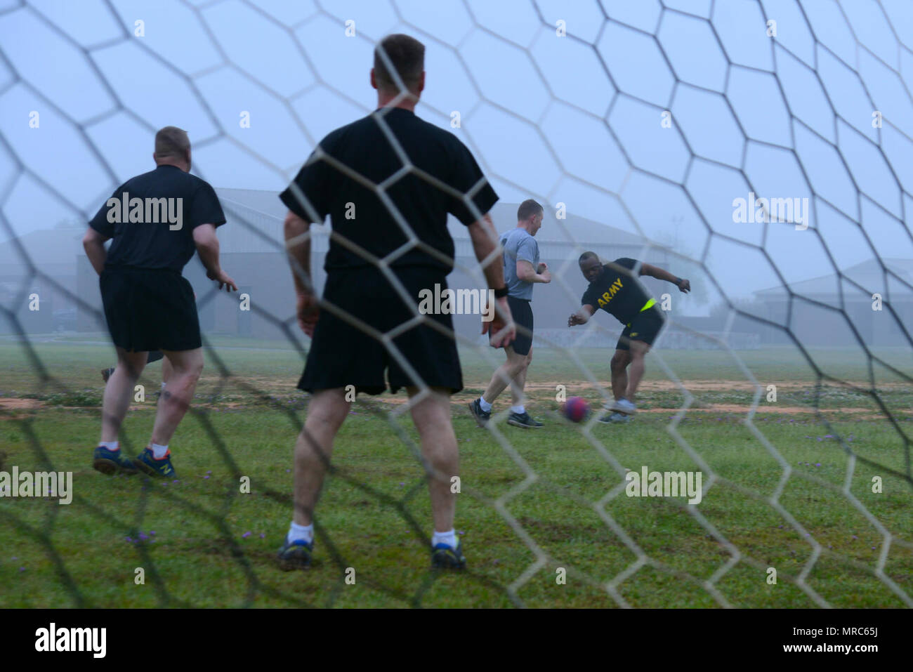 8,023 Gator Ball Stock Photos, High-Res Pictures, and Images - Getty Images