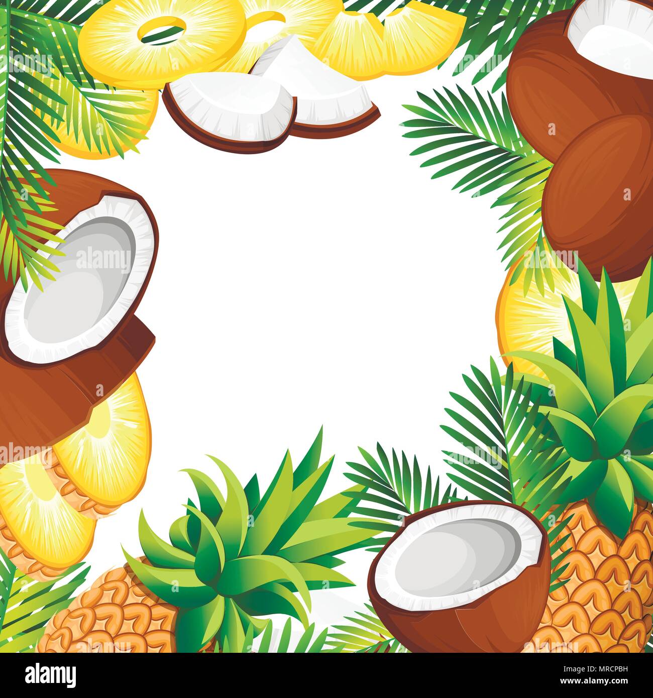 Coconut and pineapple illustration. Pieces coconuts and pineapples with