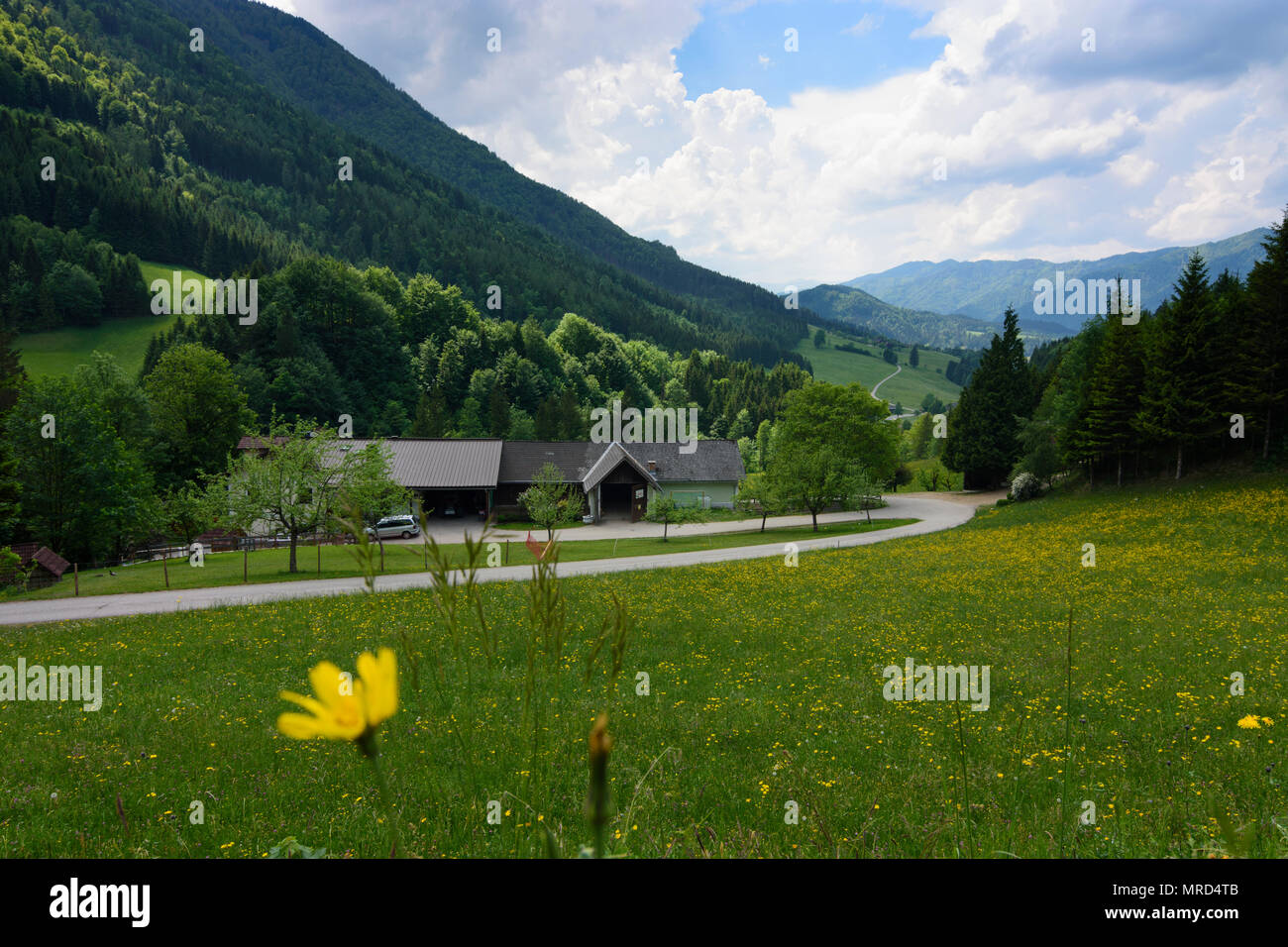 Opponitz: farmhouse, valley in Austria, Niederösterreich, Lower Austria, Mostviertel Stock Photo