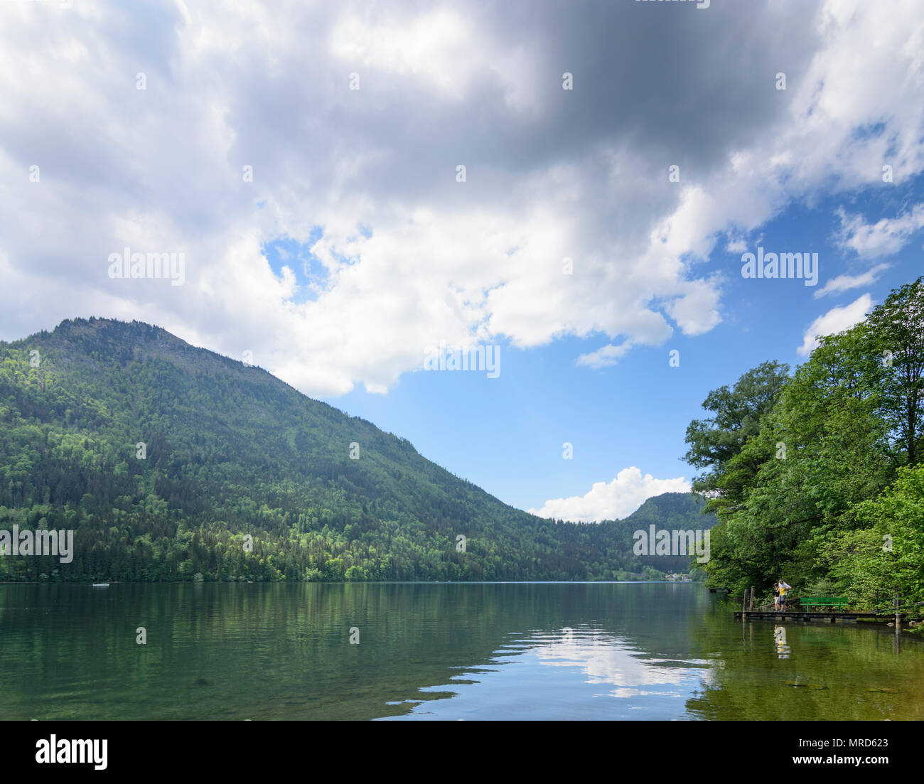 Lunz am See: lake Lunzer See in Austria, Niederösterreich, Lower Austria,  Mostviertel Stock Photo - Alamy