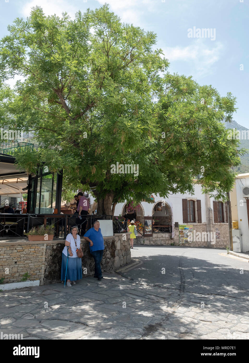 Bitter lemons bellapais in northern hires stock photography and images