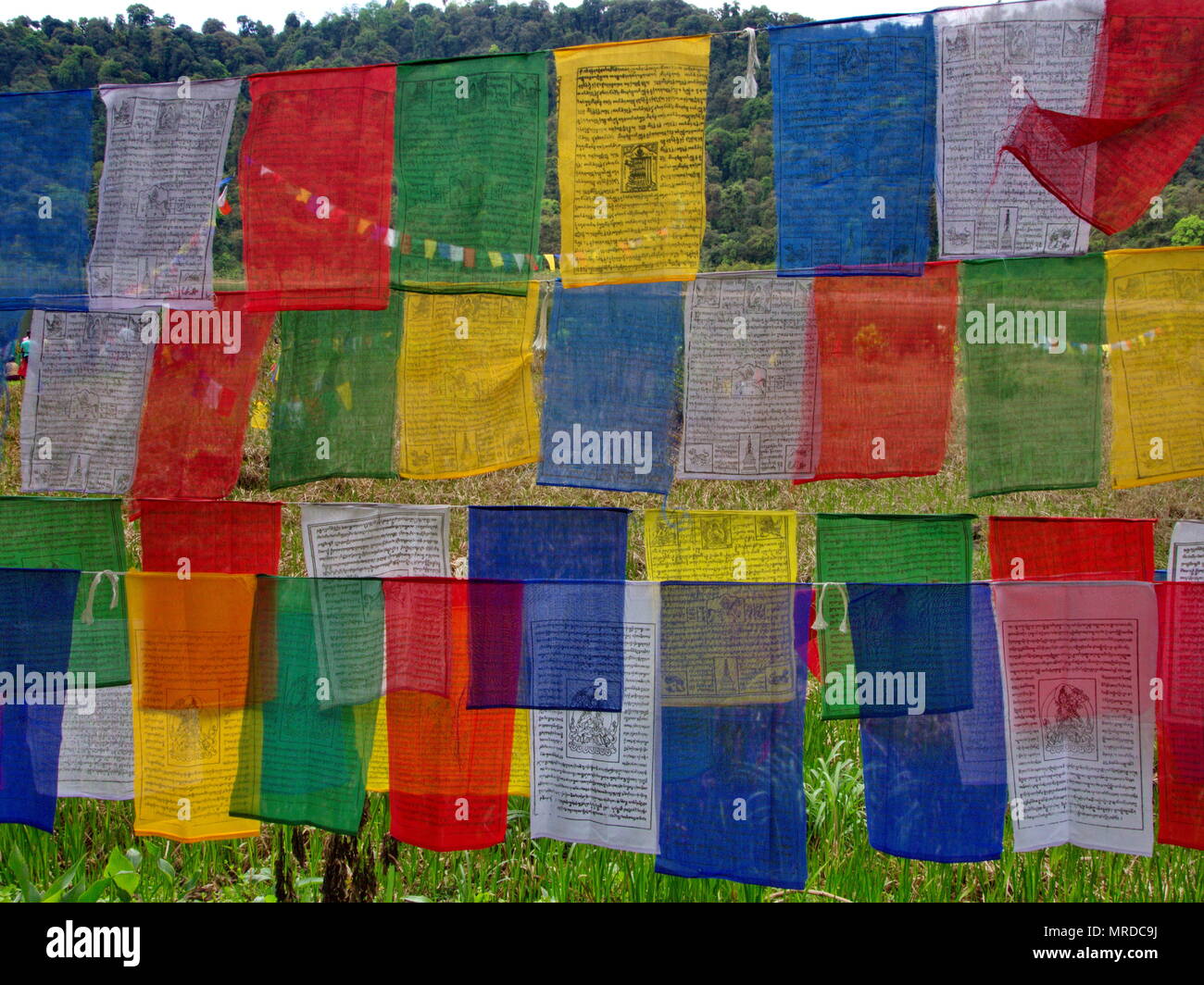 Tibetan Prayer Flag for Faith, peace, wisdom, compassion, and strength ...