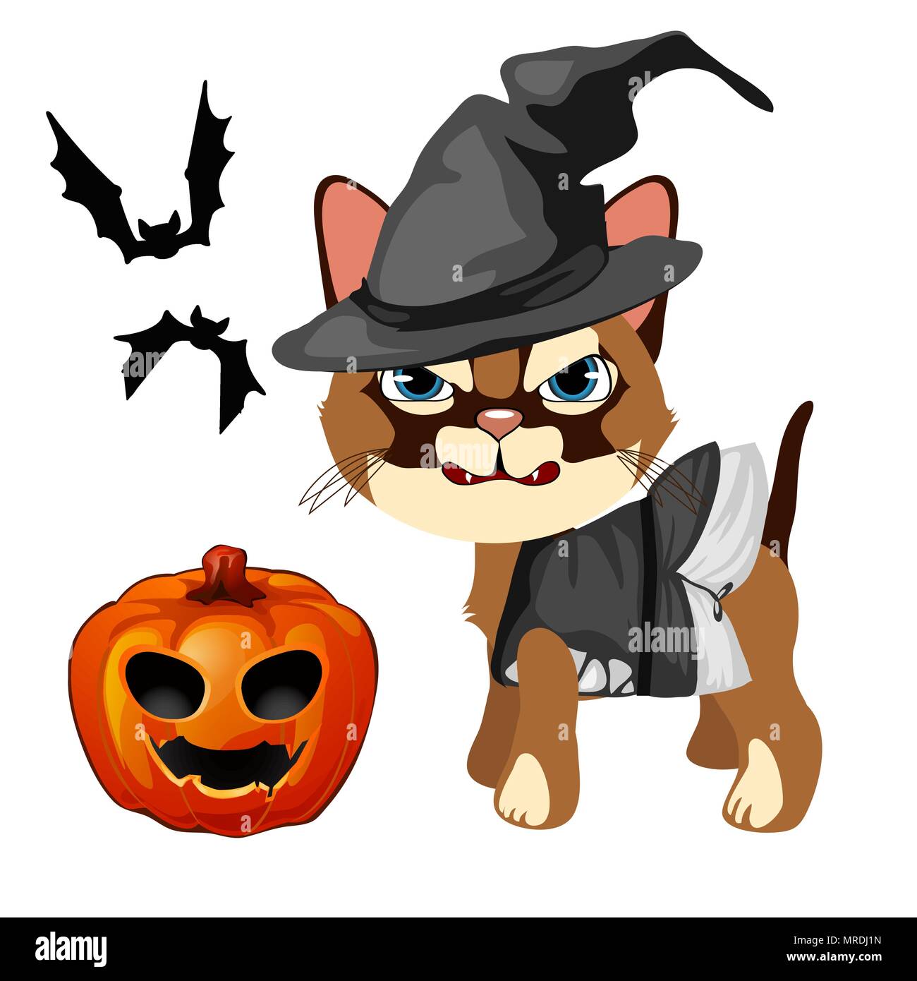 Angry cat in the hat witch bares his sharp teeth. Pumpkin with carved eyes and mouth, bats. The set of attributes of the holiday Halloween. Vector illustration. Stock Vector