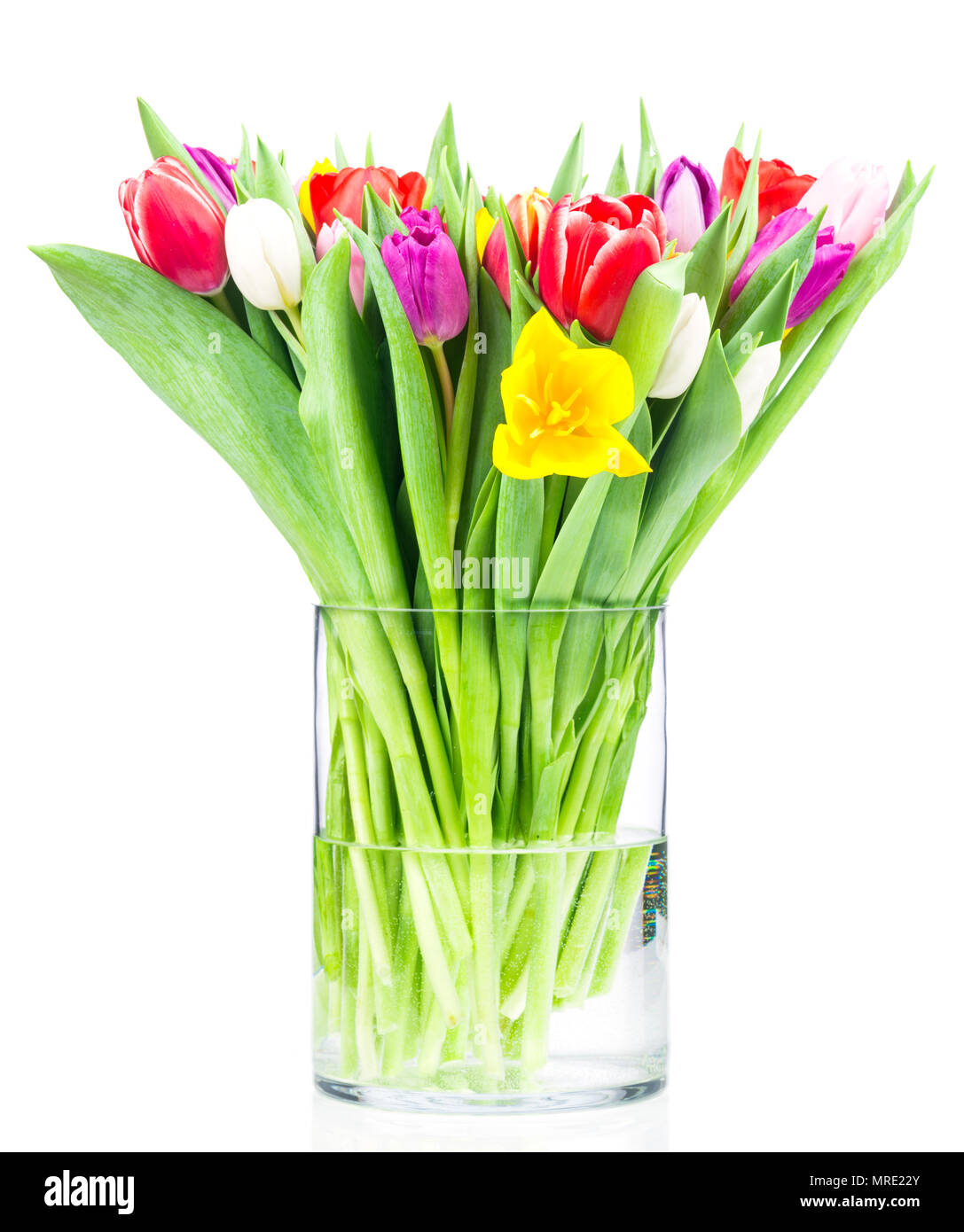 Bouquet of tulips flowers in the glass vase isolated on white ...