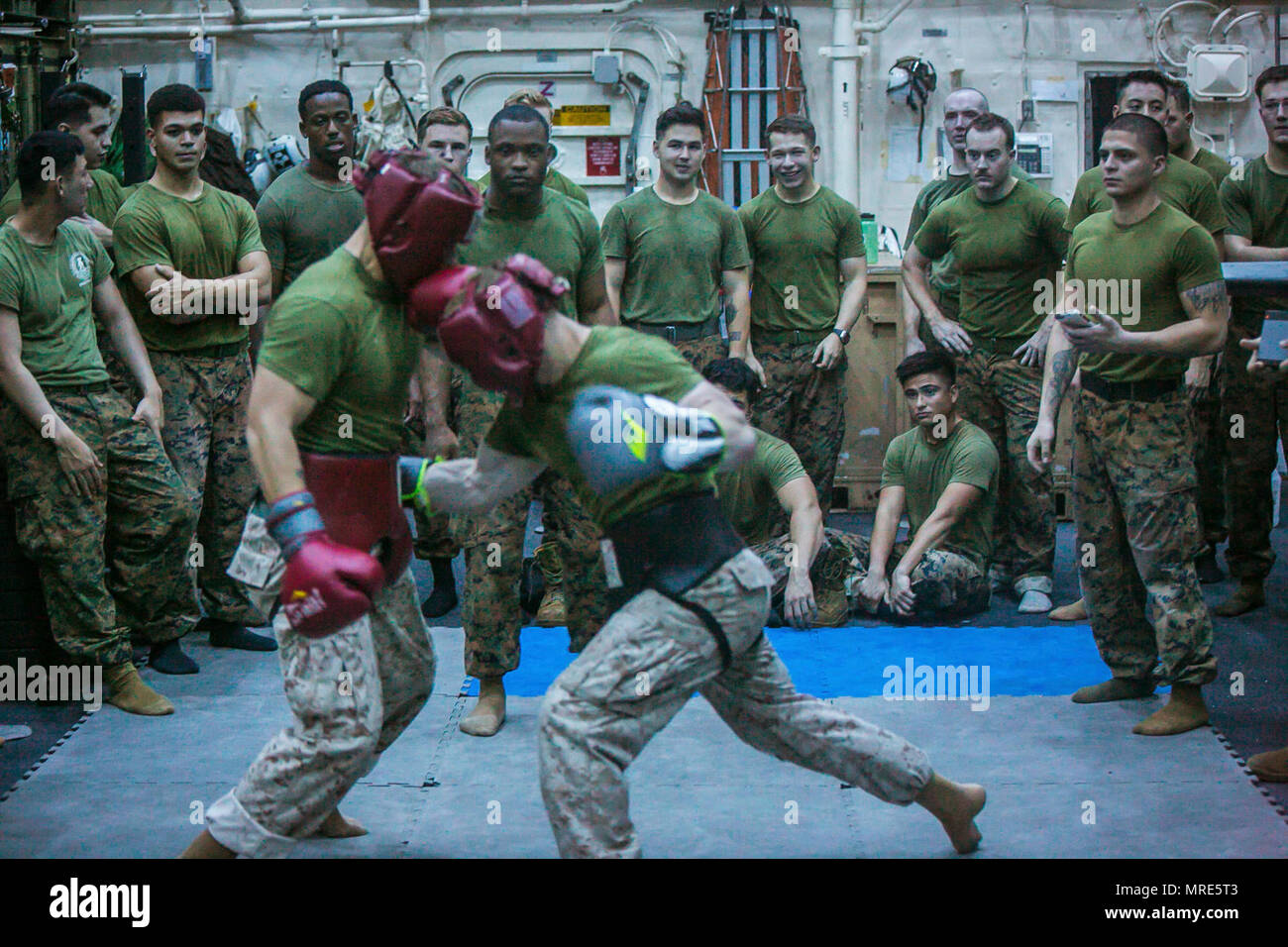 All marine boxing team hires stock photography and images Alamy