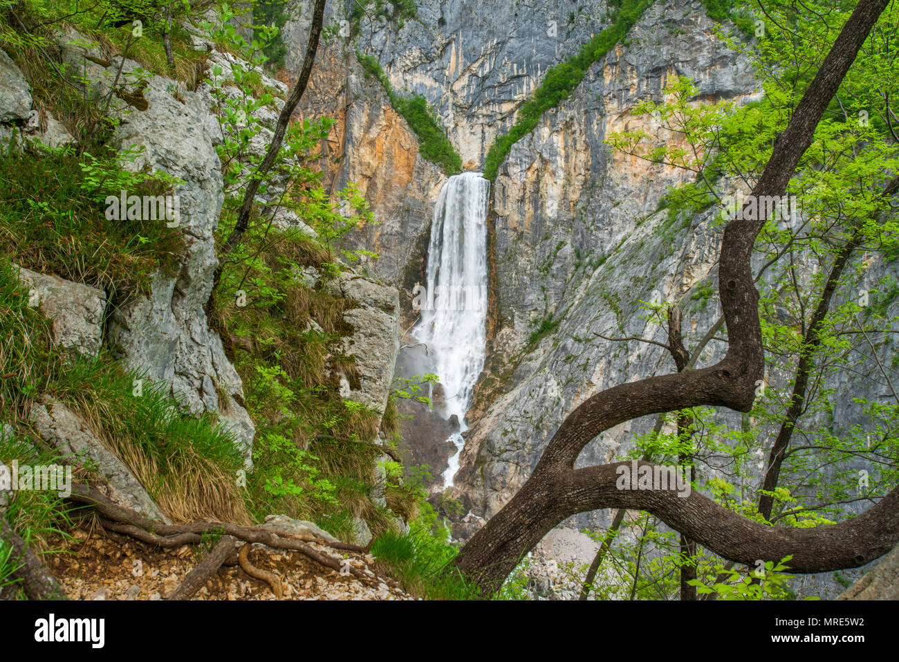 A huge waterfall drops from an overhang in the steep slopes. Trees and
