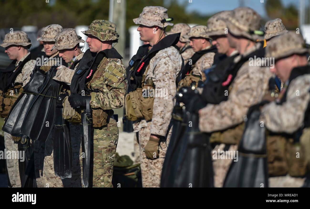 U.S. Marines and Airmen line up for a fin inspection during the Marine Special Operations School