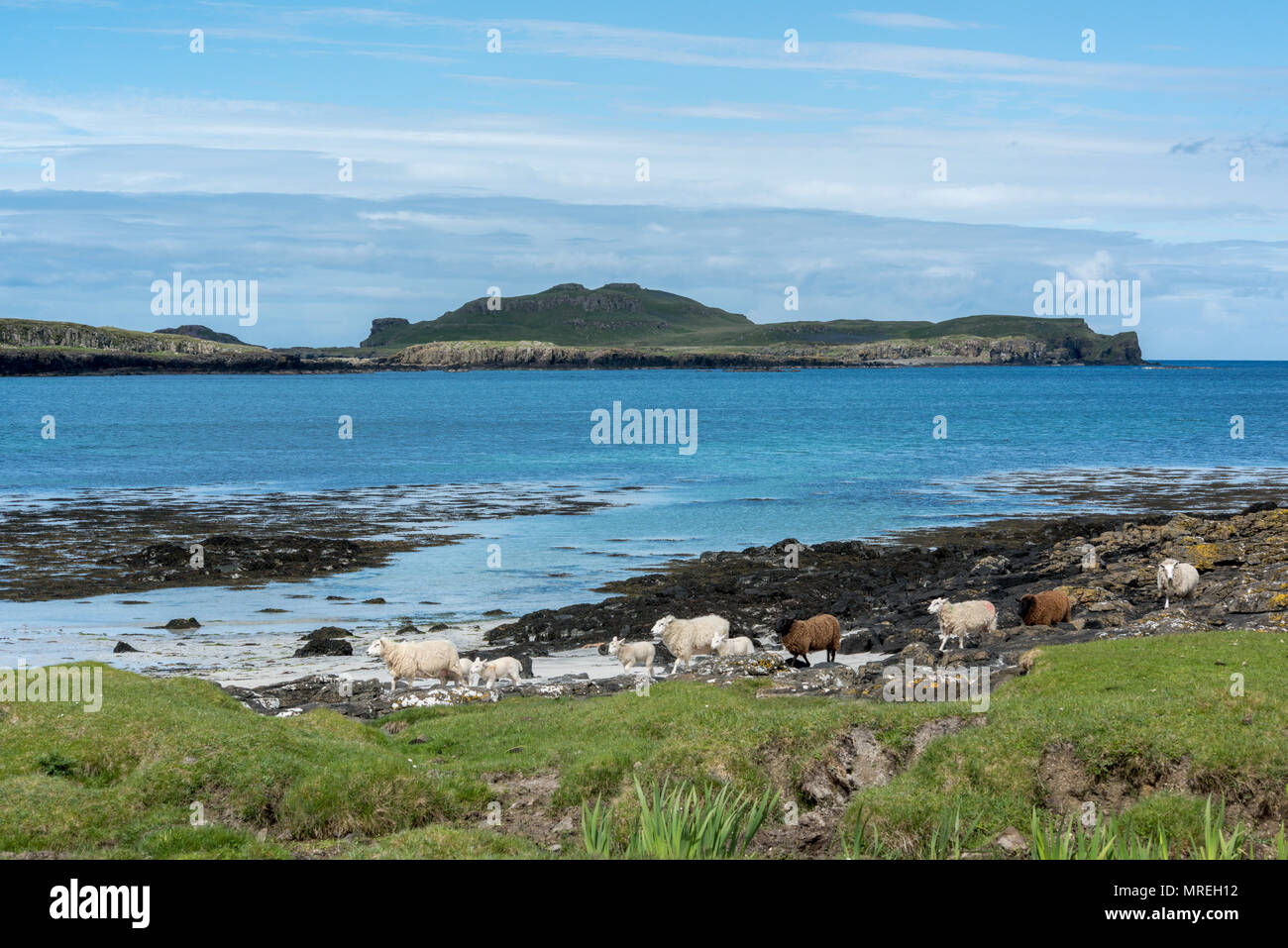 Gallanach Beach, Isle of Muck, The Small Isles, Inner Hebrides, Scotland Stock Photo