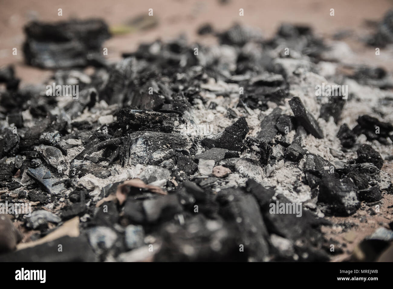 Dry charcoal and Ash Close Up Selective Focus Stock Photo Alamy