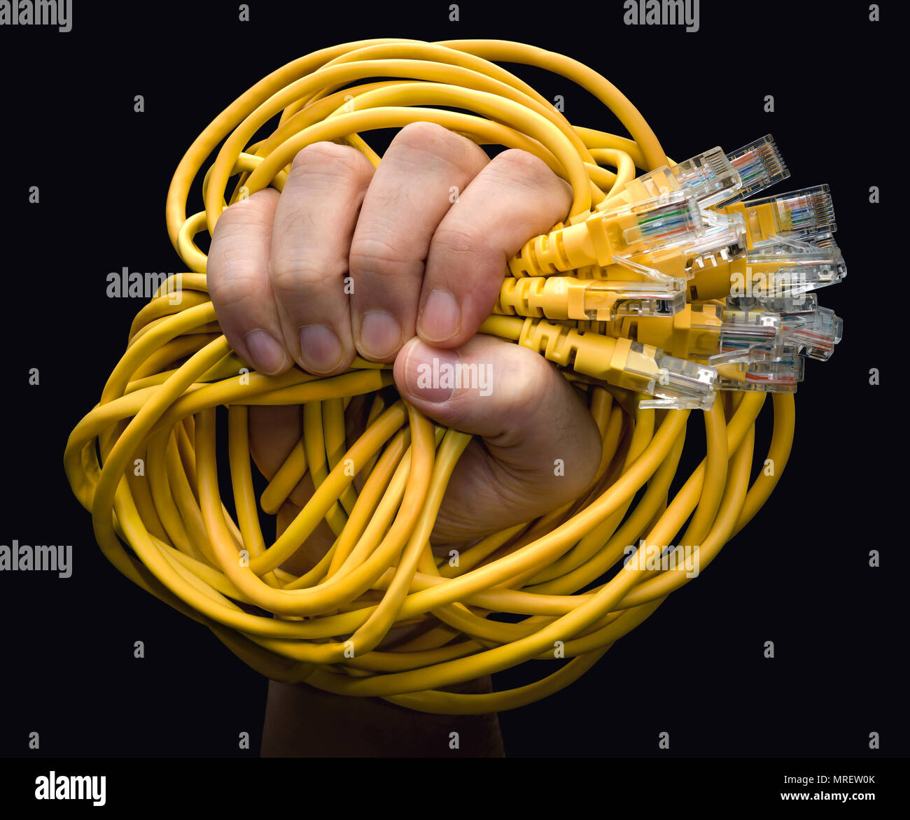 Person holding RJ45 cables. Stock Photo