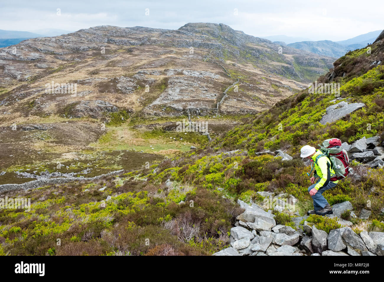 Male hill walker in the rugged northern Rhinogs, Mid Wales Stock Photo