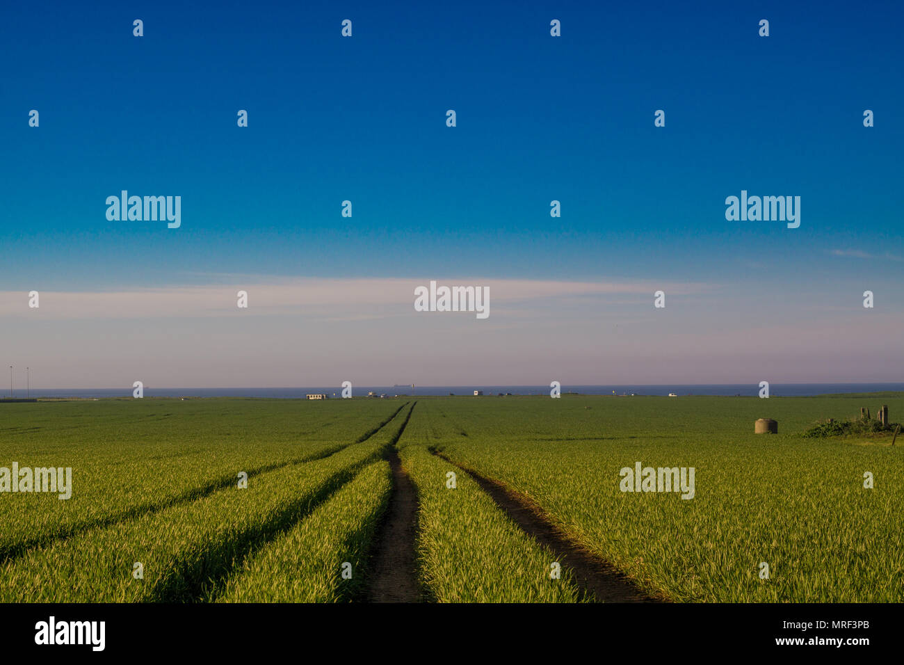 Farmers field in Marske. North east coast can be seen in the distance. Stock Photo