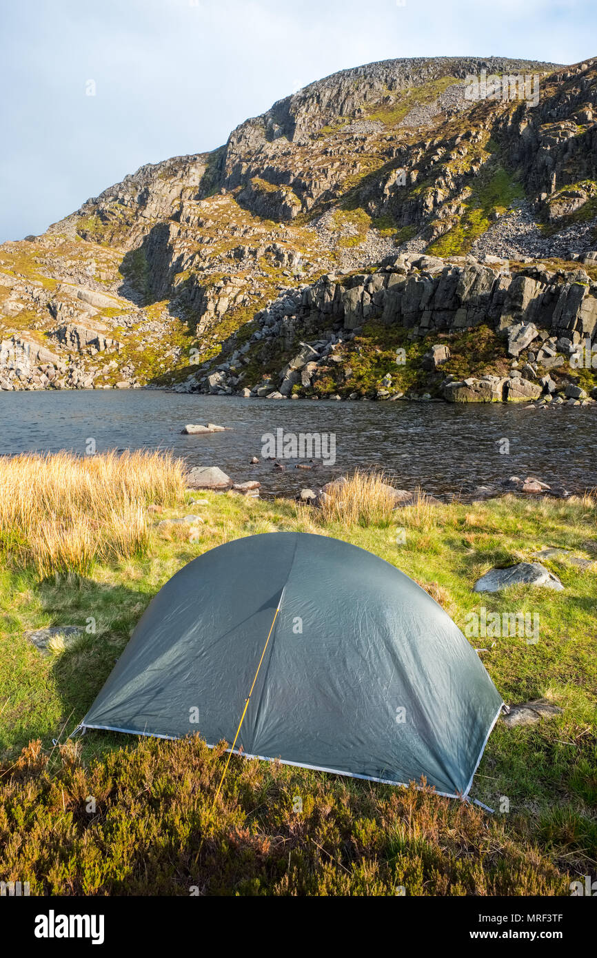 Tent Pitched On A Welsh Mountain During A Wild Camping Trip In The Rhinog Hills Stock Photo Alamy