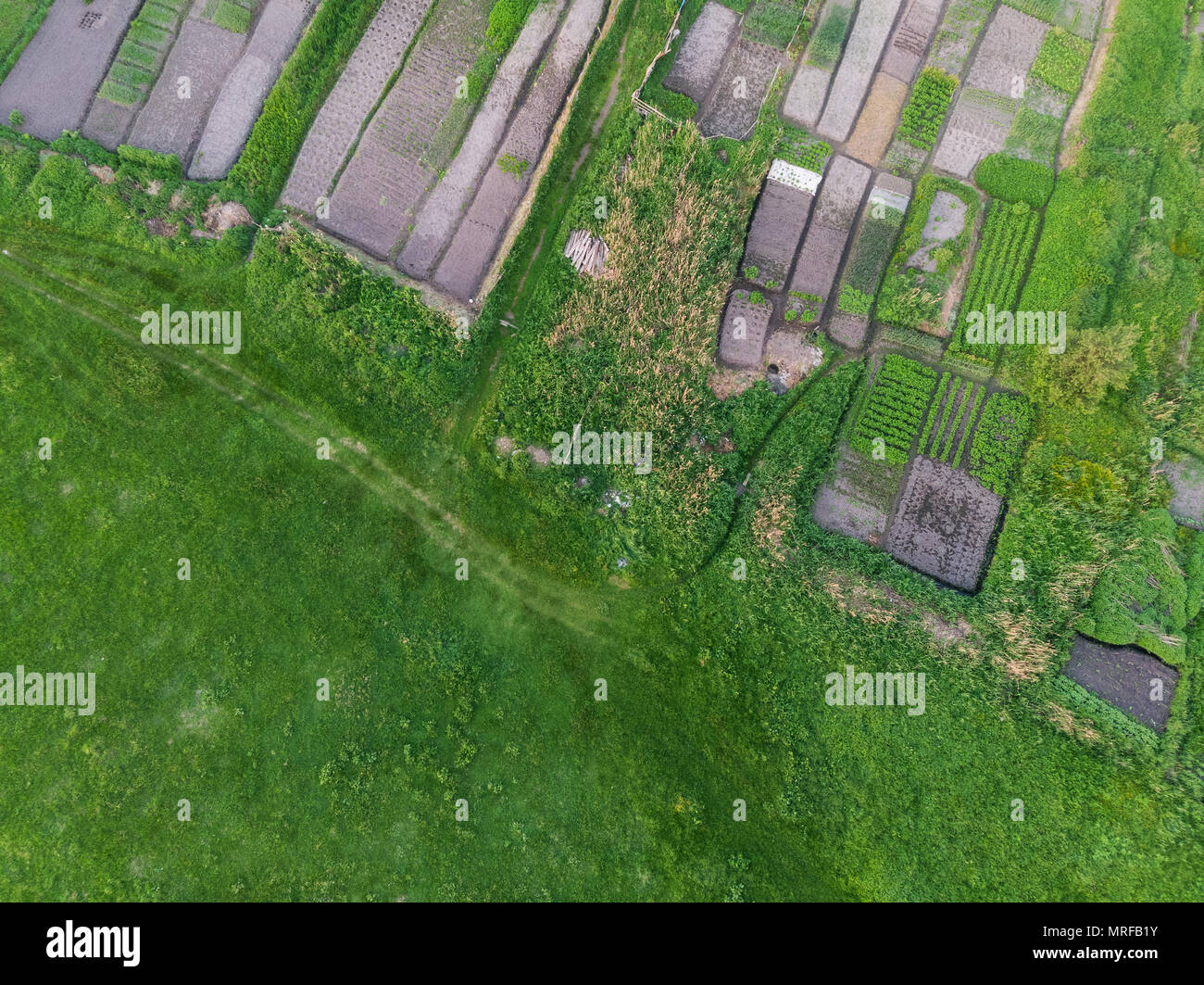 Landscape - aerial view, field and garden. Flat lay Stock Photo - Alamy