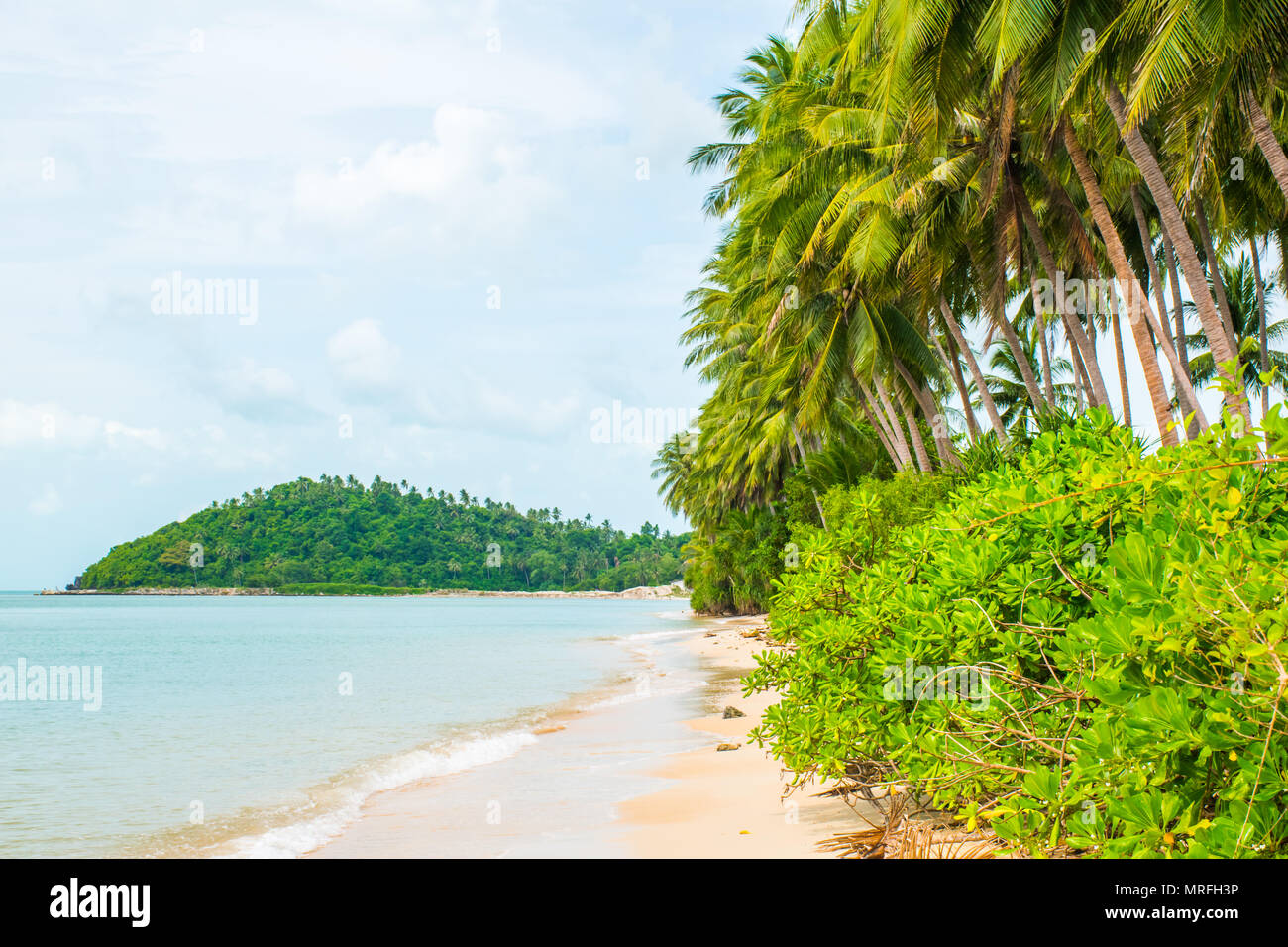 Tropical beach Lipa Noi with palms in the Koh Samui Island in Thailand ...