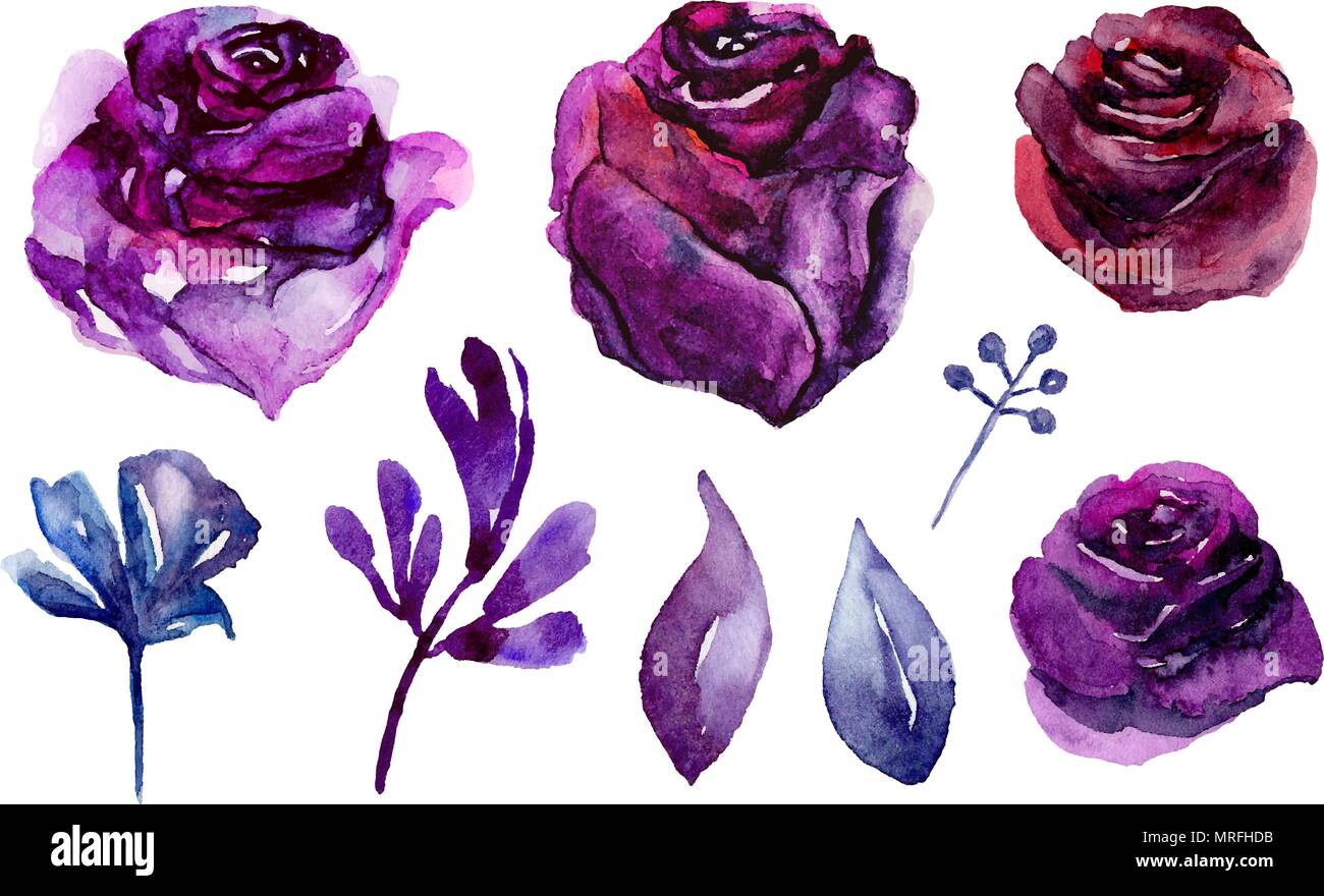 Watercolor purple flowers vector clip art. Lilac and blue floral Stock Vector