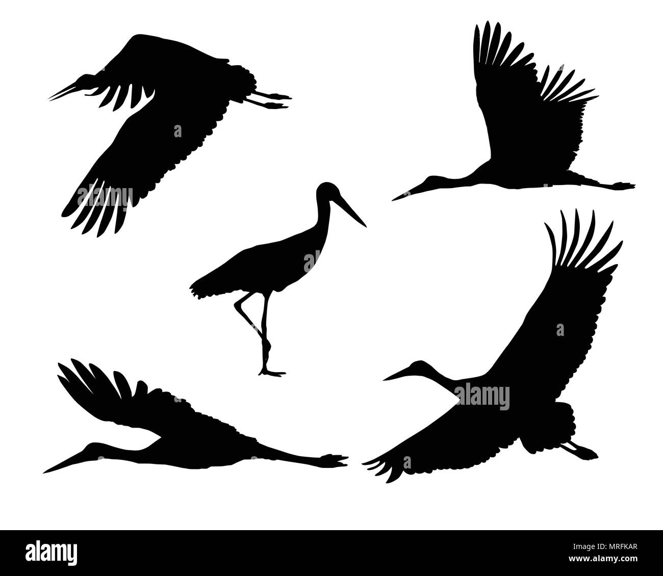 Set of realistic silhouettes stork or heron, flying and standing - vector Stock Vector