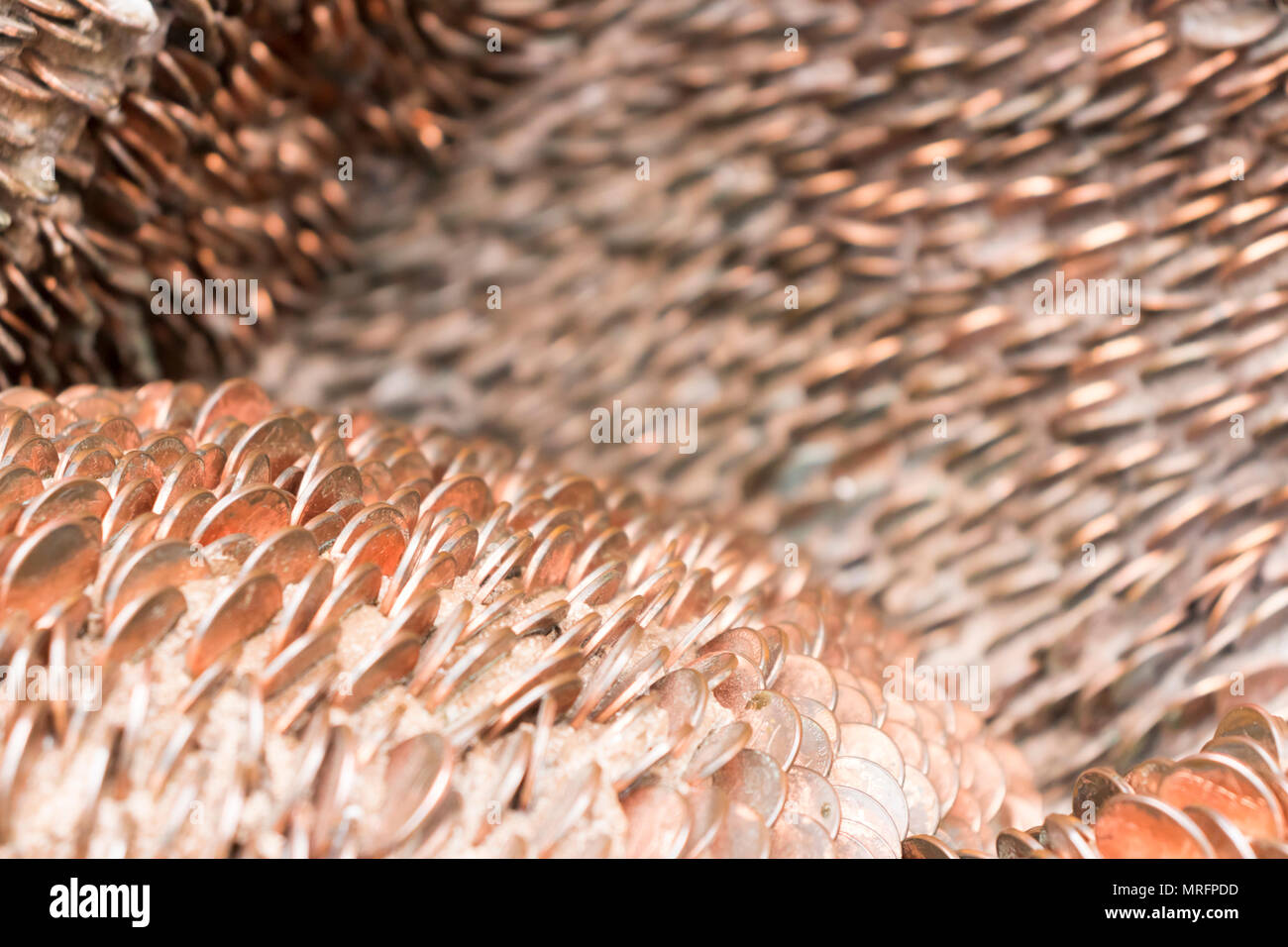 Pattern of US pennies. Stock Photo