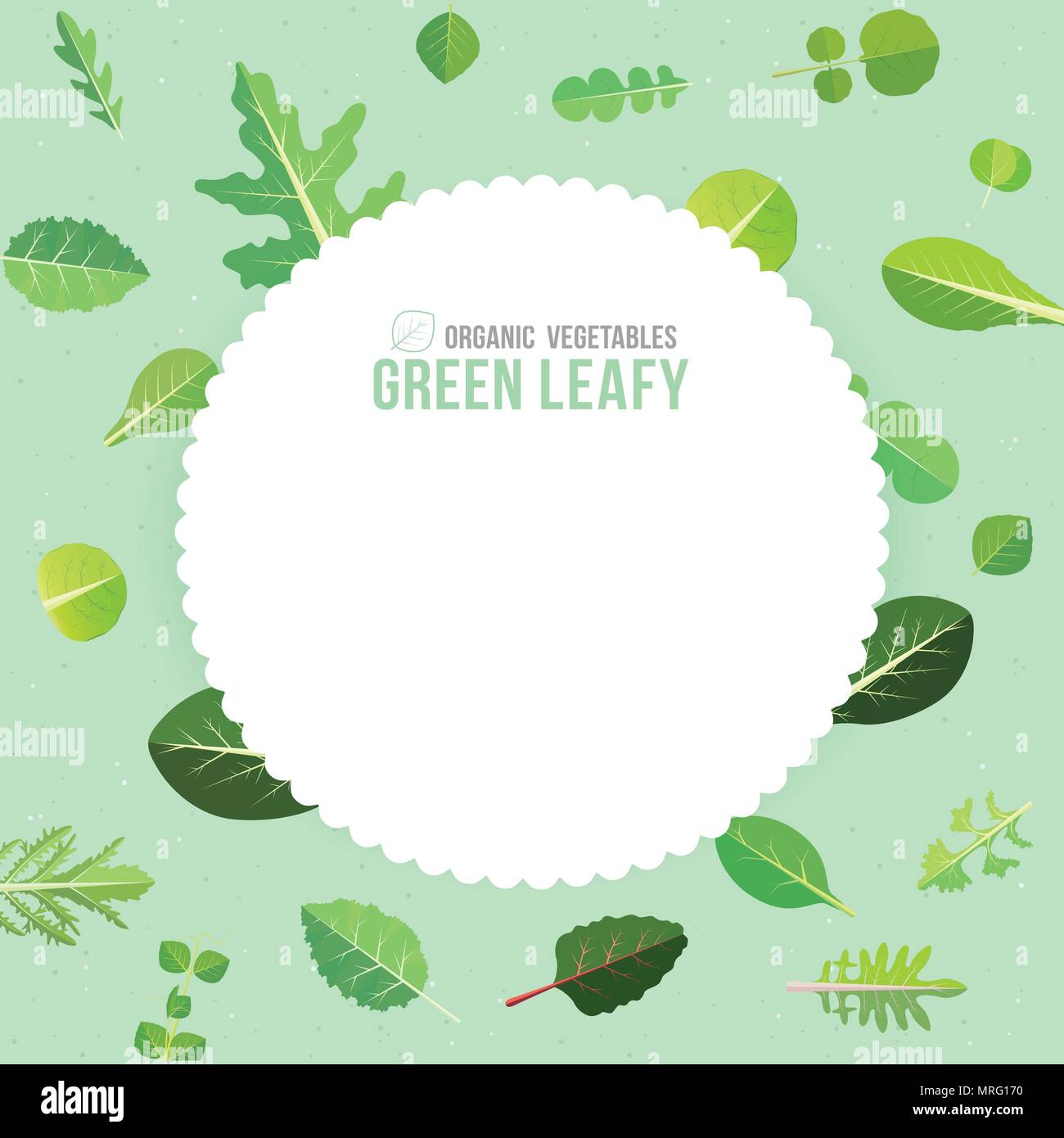 A variety of leafy greens vegetables. Vector illustration Stock Vector