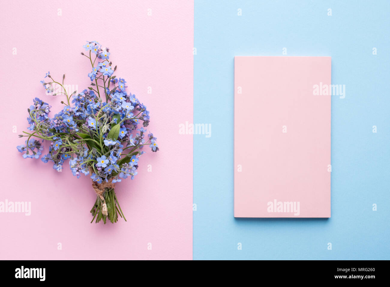 Forget Me Not Flowers Bouquet On Pink Pastel Background Stock Photo Alamy Forget Me Not Flowers Bouquet On Pink Pastel Background Stock Photo Alamy
