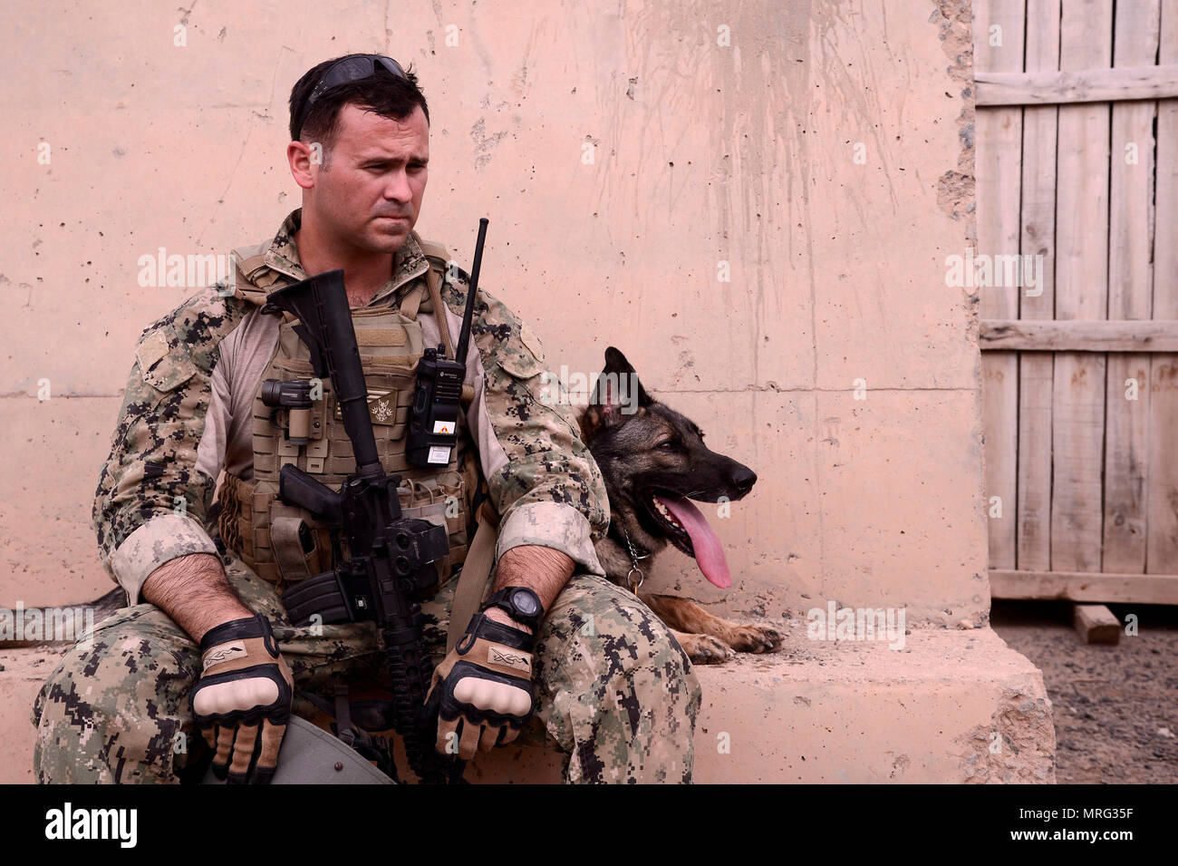 navy k9 unit