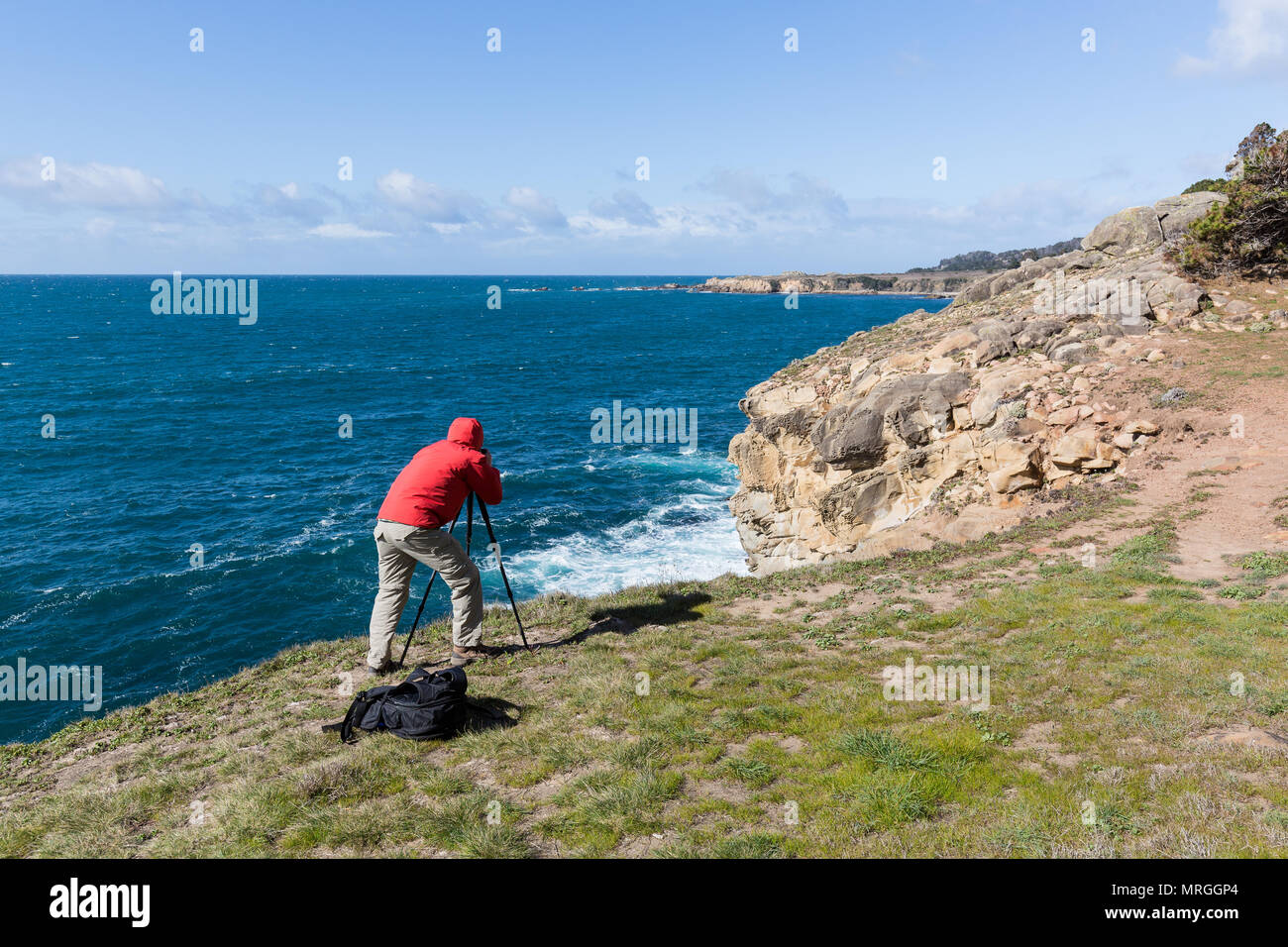 A landscape photographer with a tripod shoots photos of the Sonoma coastline in Salt Point State Park. Stock Photo