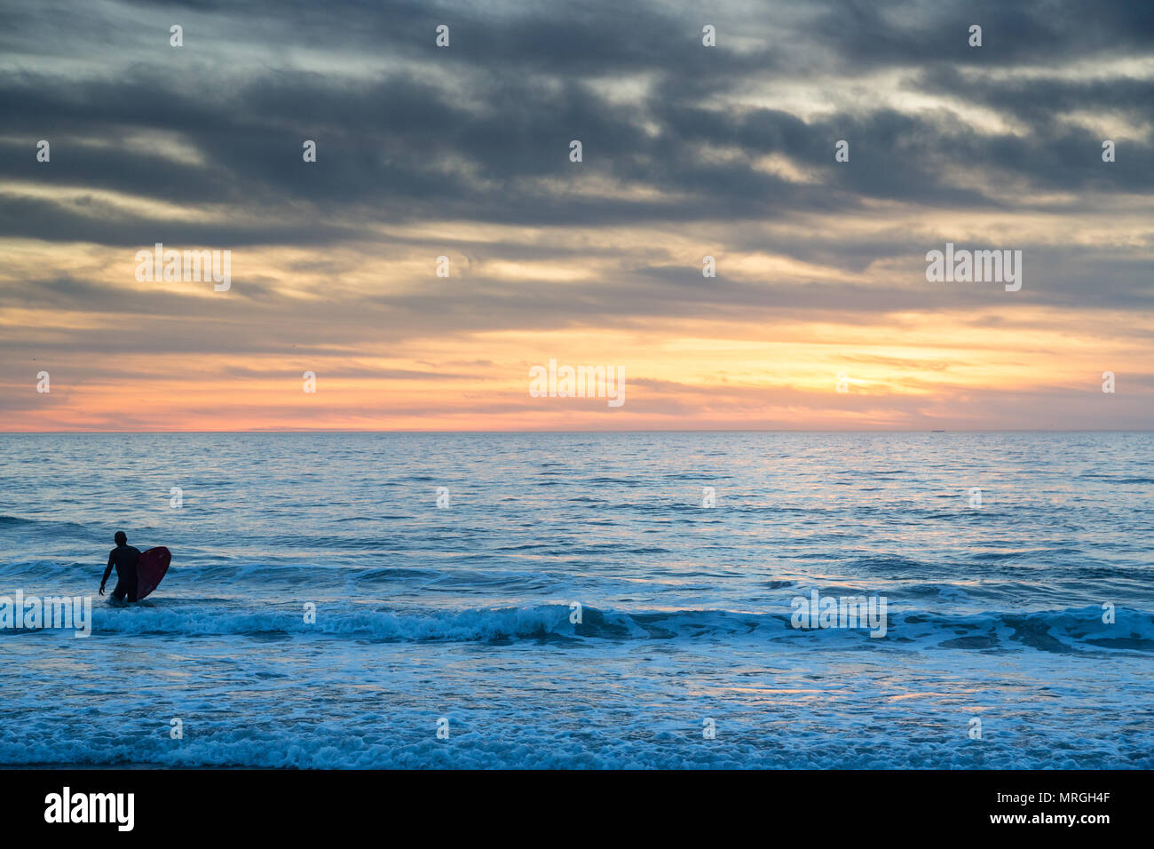 A longboard surfer walks into the ocean in Manhattan Beach, California on a cloudy day, ready to get a few waves before dark. Stock Photo