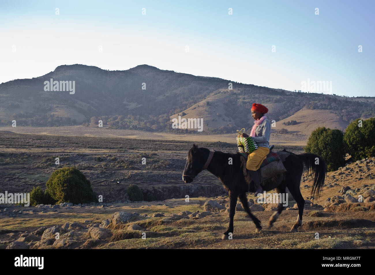 Woman riding a horse ( Ethiopia). She is muslim ,she is going back home after visiting the local weekly market. Stock Photo