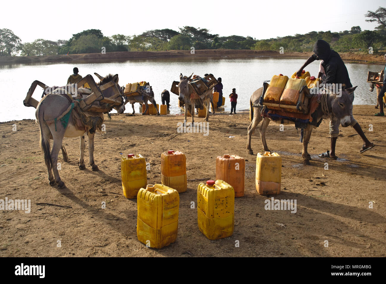 Local people fetching water to a pond ( Ethiopia) Stock Photo